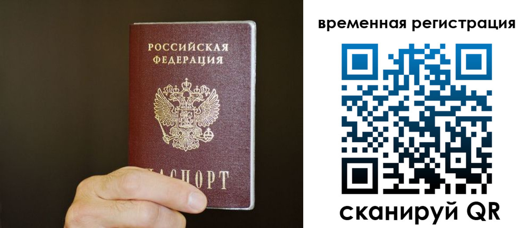прописка гарантия в Звенигово